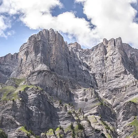 Hotel Restaurant Waldhaus 3*