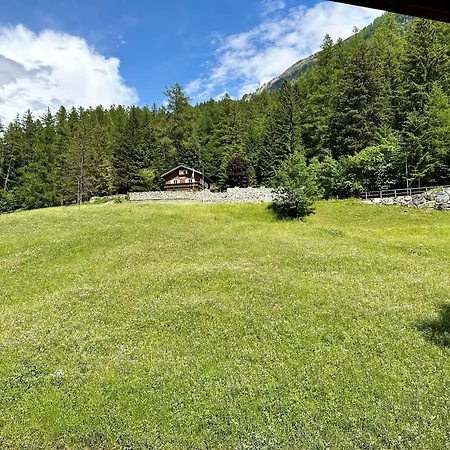 호텔 레스토랑 발트하우스 3*